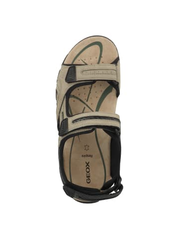 Geox Sandale U S Strada D in beige
