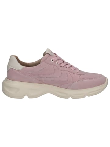 Caprice Sneaker in ROSE COMB