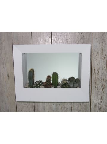 MeinVIPShop Wunderschönes Kakteen Arrangement im weißen Holzrahmen
