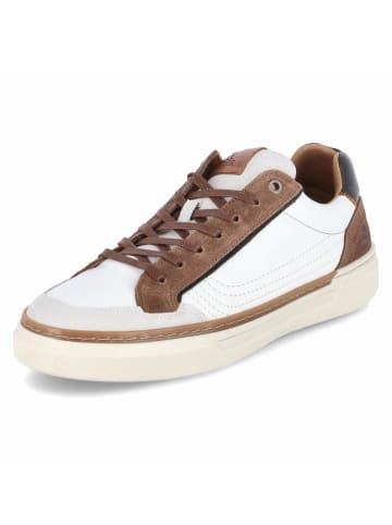 Bullboxer Low Sneaker in weiß