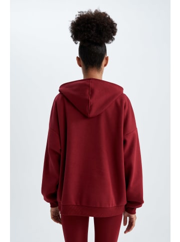 DeFacto Kapuzensweatshirt SWEATSHIRT in Bordeaux