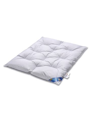 ARO ARTLÄNDER Daunenbett Junior Exklusiv 100x135 cm / Decke 80x80 cm