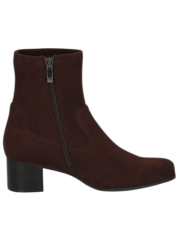 Caprice Stiefelette in DK BRN STRETCH