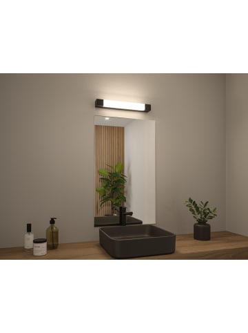 paulmann LED Spiegelleuchte Quasar