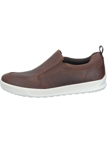 Ecco Slipper in cocoa brown