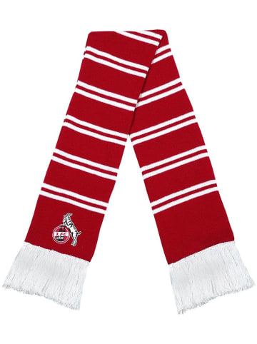 Fußballverein 1. FC Köln Schal "Schal Clubschal Kids" in Rot