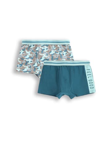 Coccodrillo Unterhose in bunt