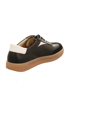 Finn Comfort Schnürschuhe in schwarz