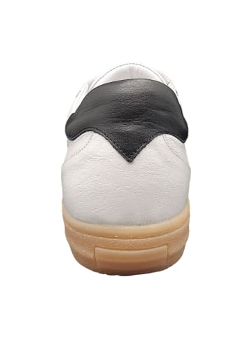 Andrea Conti Sportliche Schnürschuhe in Weiß