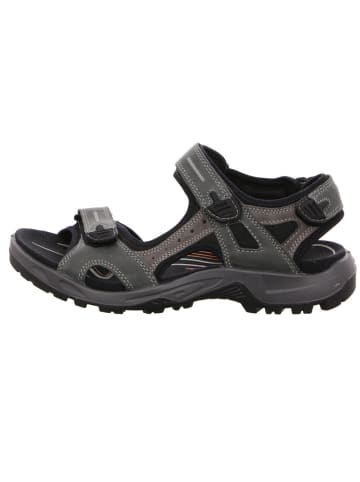 Ecco Outdoorschuh in blau