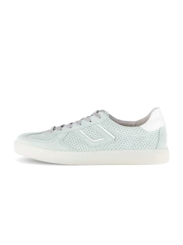 Gabor Sneaker low in grün