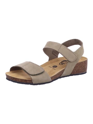 Plakton Sandale in beige
