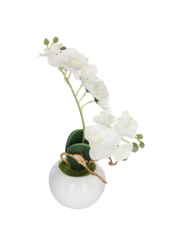 Atmosphera Créateur d'intérieur Künstliche Orchidee in weiß