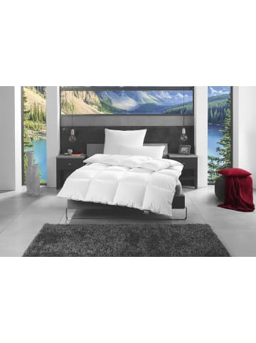f.a.n. Frankenstolz f.a.n Kassettenbettdecke Daune Canada 200x200 cm Warm in weiss