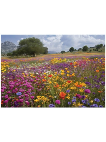 WALLARENA Fototapete Blumen in Bunt