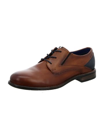 Bugatti Business Schnürschuhe in Braun