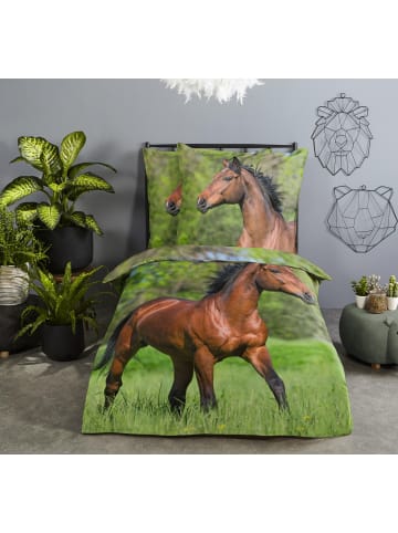 JACK 2 tlg. Renforcé Bettwäsche 135x200cm Muskel Pferd in Grün