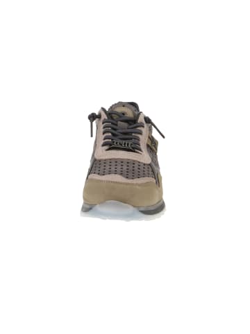 Cetti Sneaker low C-848 EXP INV25 in Grün