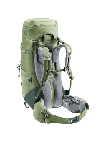 Deuter Aircontact Lite 35 + 10 SL in Schilf1214