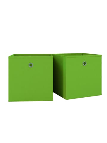 VCM  2er Set Faltbox Klappbox Aufbewahrungsbox Boxas in Grün
