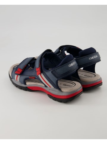 Geox Klettschuhe in Blau