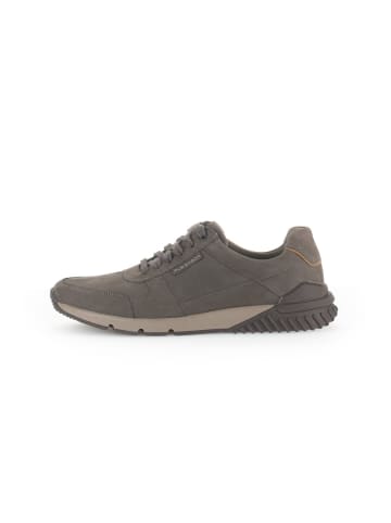 Pius Gabor Sneaker low in grau