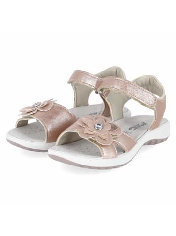 Imac Sandalette in pink