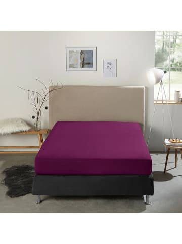 REDBEST Single-Jersey Boxspring-Spannbettlaken Denver in beere