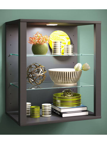 VCM  Holz Glas Stand Vitrine Sammelvitrine Glasol SW in Anthrazit