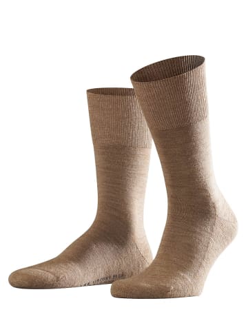 Falke Socken 1er Pack in Beige