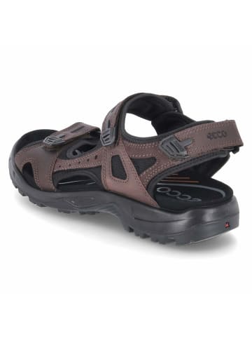 Ecco Sandalen OFFROAD in braun