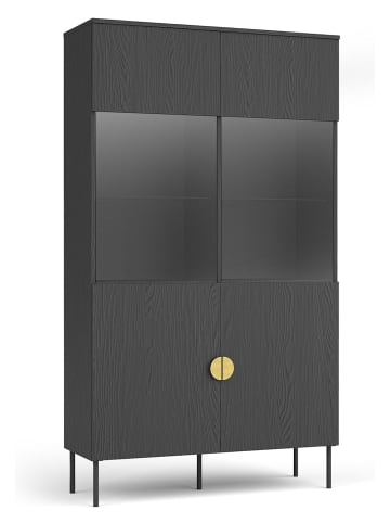 Feldmann-Wohnen Vitrine Mond anthrazit 106 / 40 / 187cm