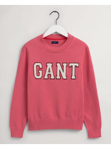 Gant Sweatshirt in rapture rose