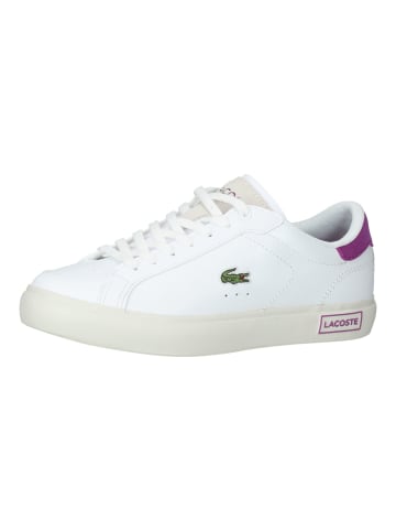 Lacoste Sneaker in Weiß/Lila