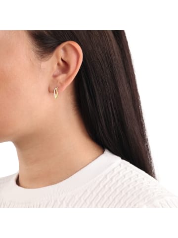 Amor Ohrstecker Gold 585/14 ct in Gold