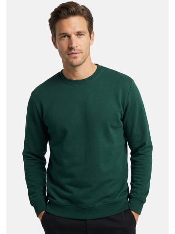 ONLY & SONS Sweatshirt Connor in Pine grove