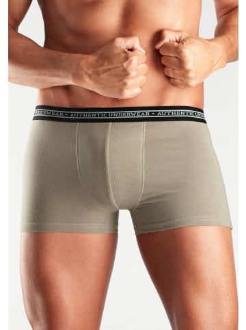 AUTHENTIC UNDERWEAR Boxer in beige, olivgrün, grau, braun