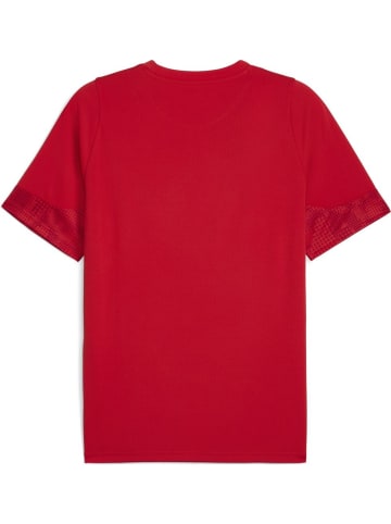 Puma Sportshirt "TeamCUP Training Jersey" in Rot