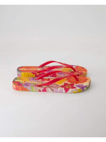 Ipanema Zehentrenner in Pink