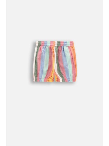 Coccodrillo Kurze Hosen in bunt