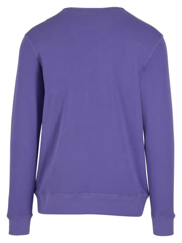Mister Tee Mister Tee Courtside Sports EMB Light Crew Sweatshirt in ultraviolet