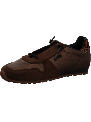 Cetti Schnürschuh in bronze