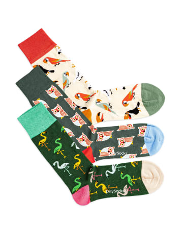 DillySocks Socken 3er Set Bird Crowd Socken in Bird Crowd