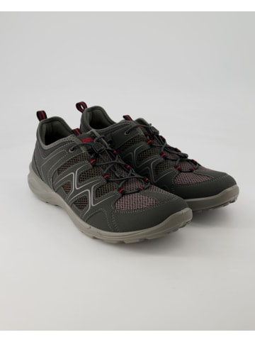 Ecco Wanderschuhe in Grau