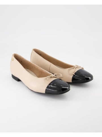 Paul Green Ballerinas in Beige