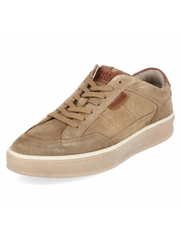 Bullboxer Low Sneaker in beige