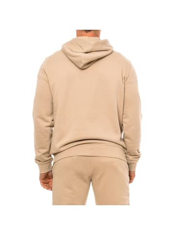 Karl Lagerfeld Hoodie in Brown