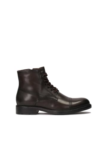 Kazar Chelsea Boots in Braun