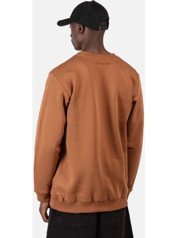 Reell Pullover "Regular Logo Crewneck" in Braun