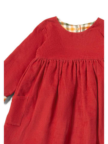 Little Green Radicals Organic Reversible Corduroy Dress in Pink